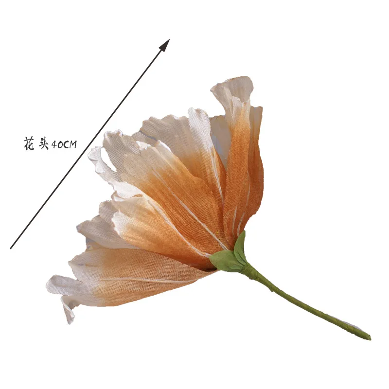   ū   ,  ,  ǰ,   , Ȩ ׼