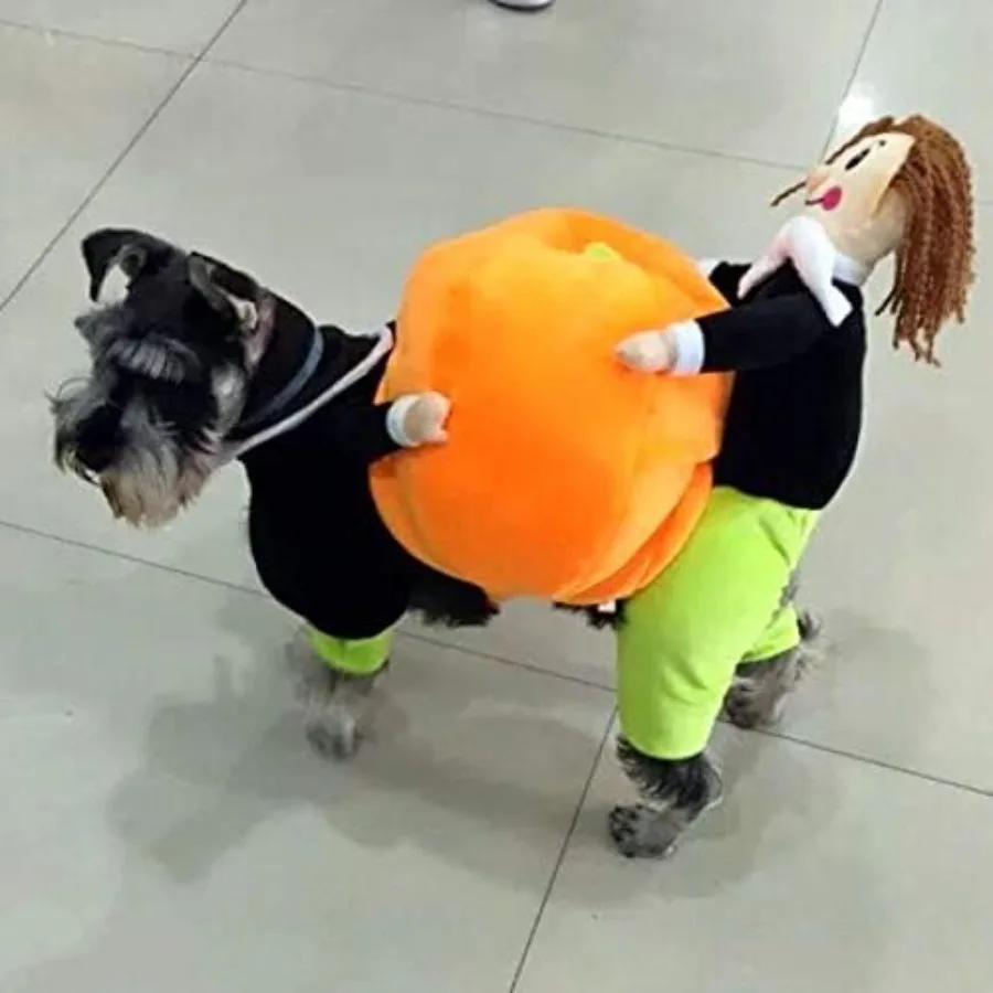 Pet Pumpkin Costume for Dogs and Cats