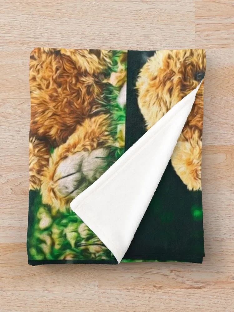 ��������� �׵� ������ ���, �ʴ��� ������ ħ�� ���� ���� ���