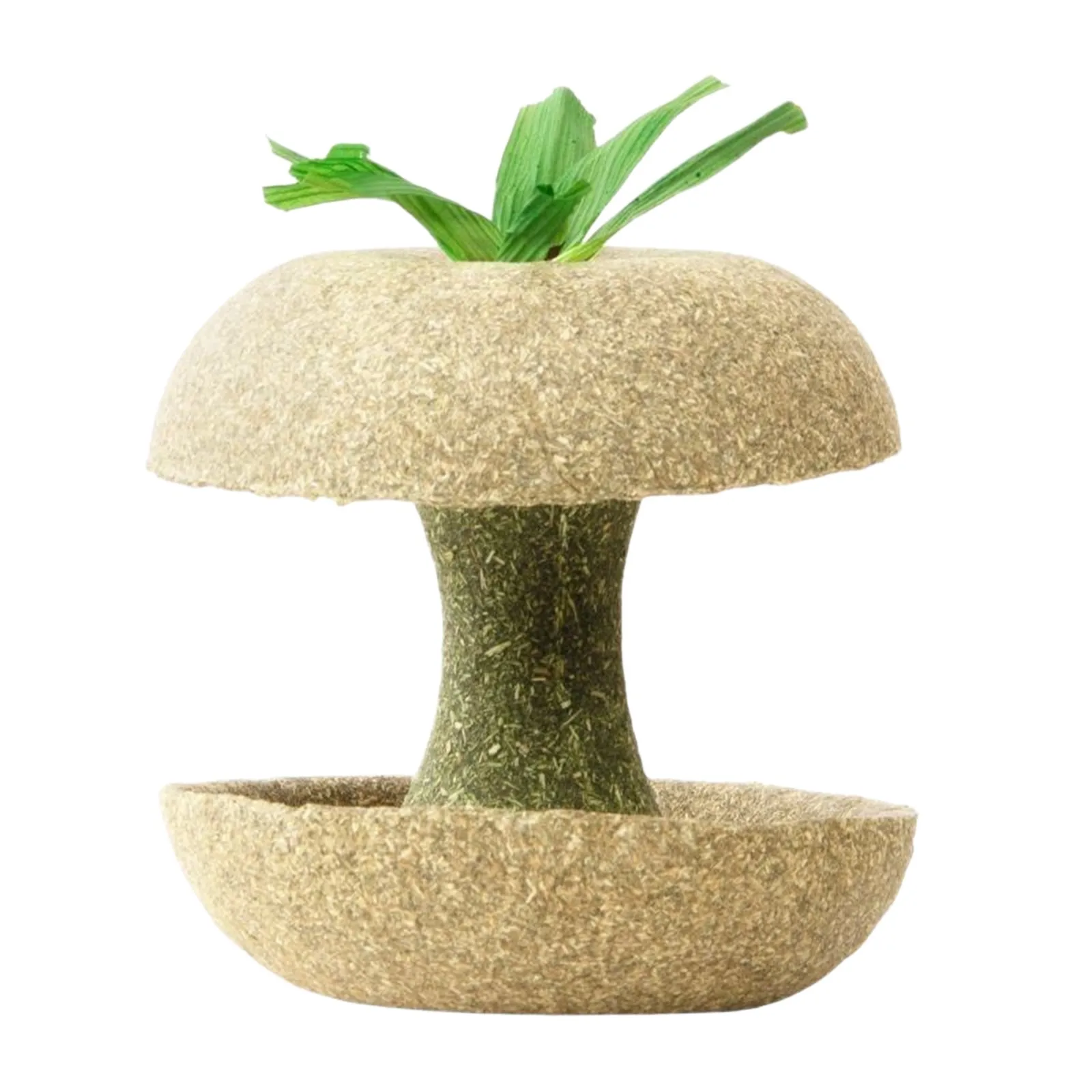 Natural Grass Chewing Sticks For Hamsters And Guinea Pigs_voghion.com