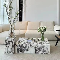 Table basse nordique de luxe, rangement, gain de place, décoration moderne, Table d'appoint transparente, livres uniques, Mesa auxiliaire, meubles de maison 3