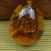 5*4cm Beautiful Amber Butterfly Insects Stone Pendant Necklace Gemstone For DIYJewellery Pendant Crafts Home Decoration C1Z6 3