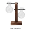 Plant Terrarium with Wooden Stand Bonsai Flower Pot Bulb Glass Hydroponic Plant Vase for Indoor Office Desk Decor Accessories 6
