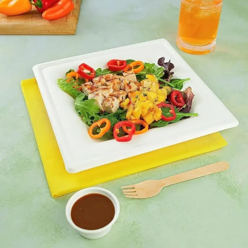 White Disposable Square Paper Plates Eco-friendly Paper Food Plates Barbecue Cake Dessert Party New Year Tableware 20PCS
