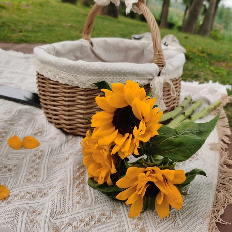 ��Ʈ ���� ���� ���, ���� ��ũ�� ��Ʈ, ���� ���, ī�� ���, ��Ʈ ���� ���� Ŀ��, ħ�� ���� ���