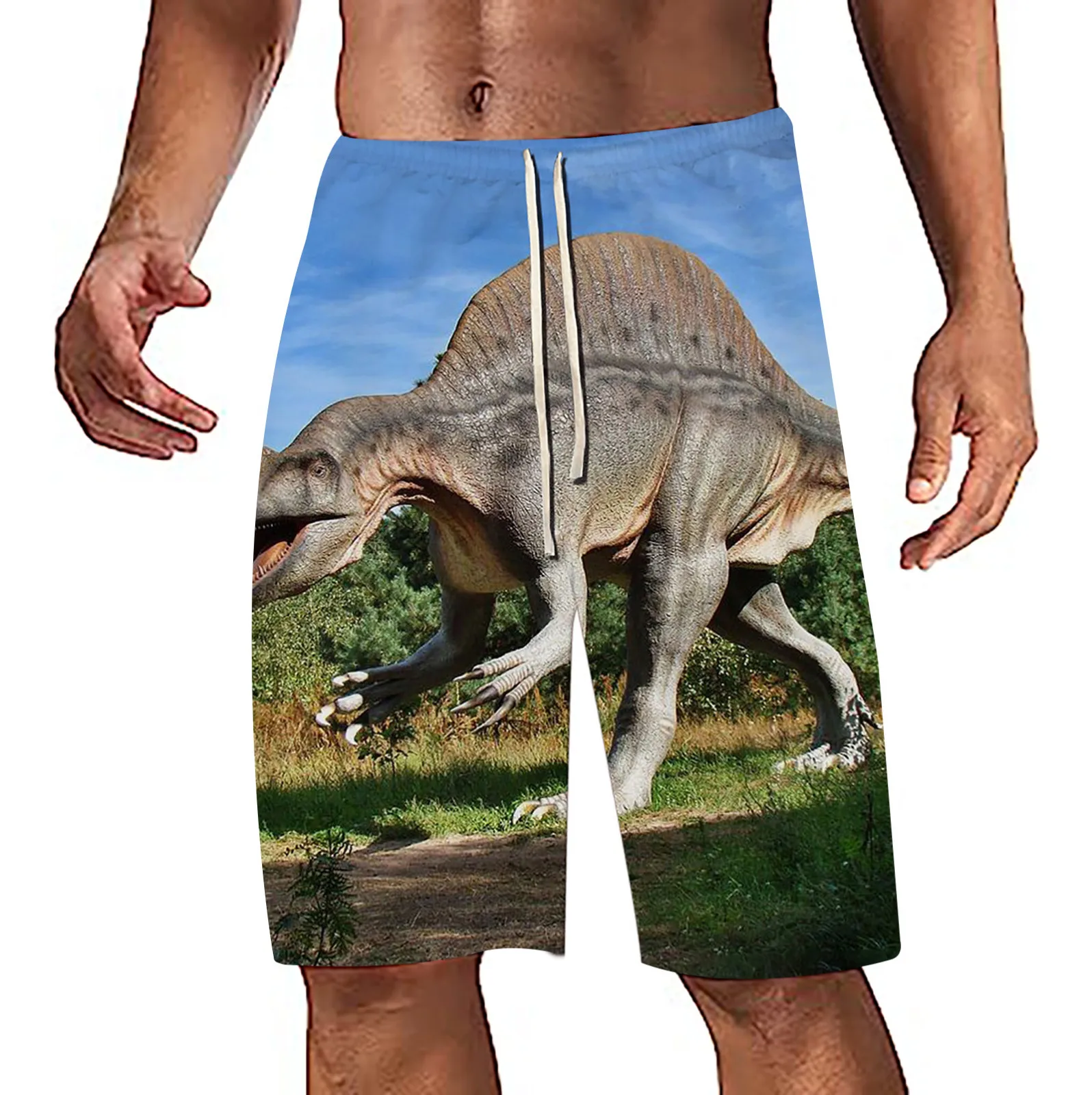   Ʈũ, 3D Ʈ  ,  ݹ,   ݹ,  ª ݹ 