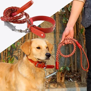 Braided Leather Dog Leash Set 1