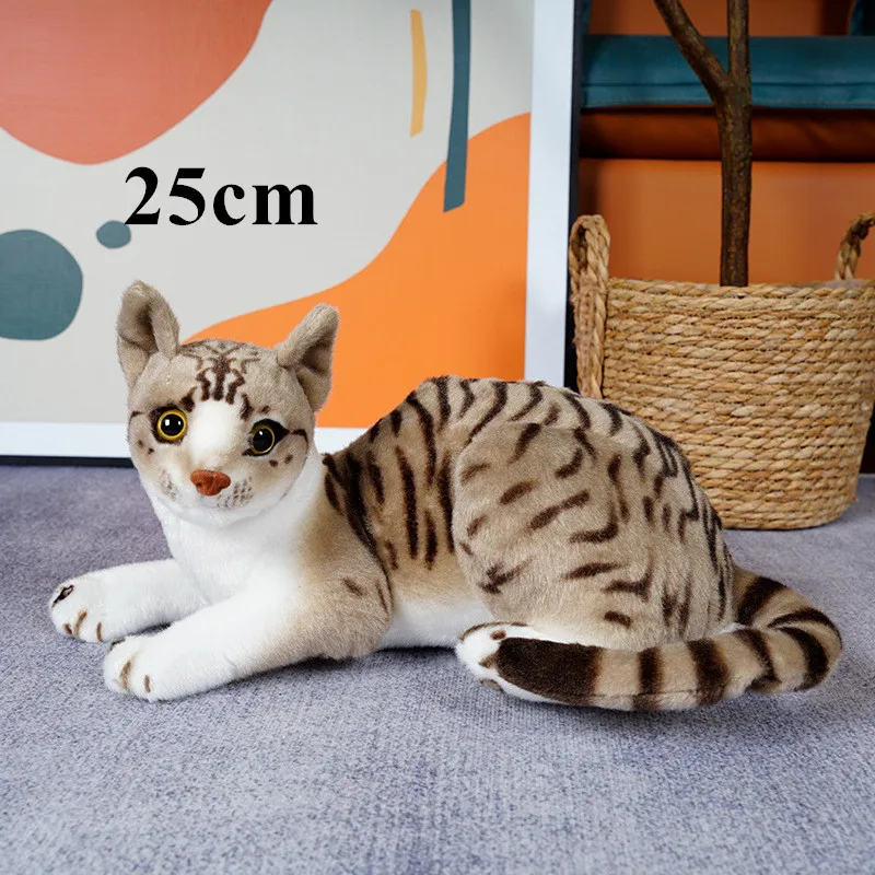 25cm lying pattern