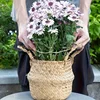 Plant Stabilizer Plant Holder For Supporting Monstera And Flowers Plant Support 5