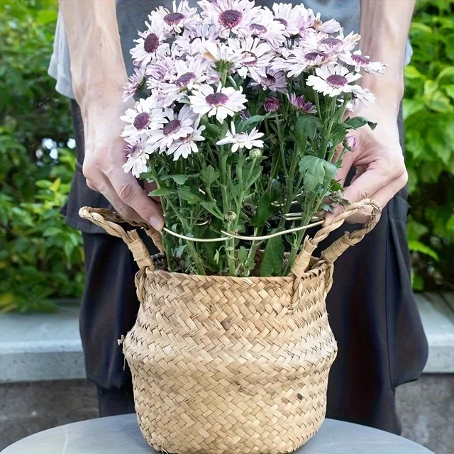 Plant Stabilizer Plant Holder For Supporting Monstera And Flowers Plant Support 5
