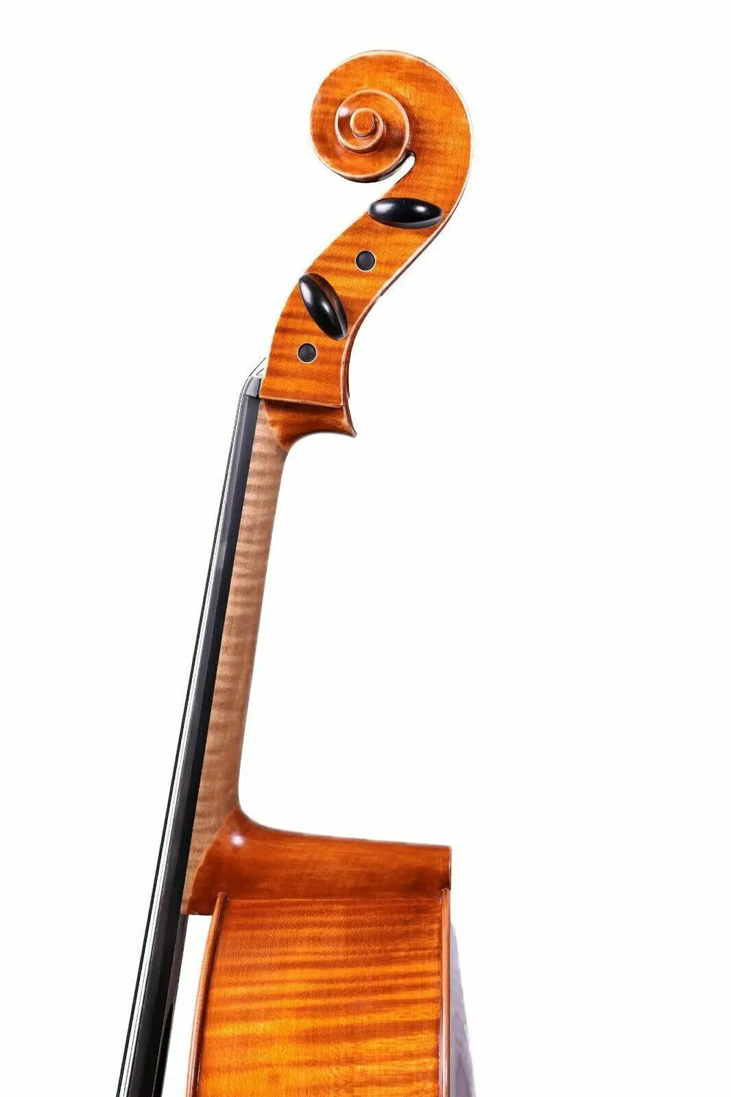 Рисунок 6 - Профессиональная Модель Stradivari