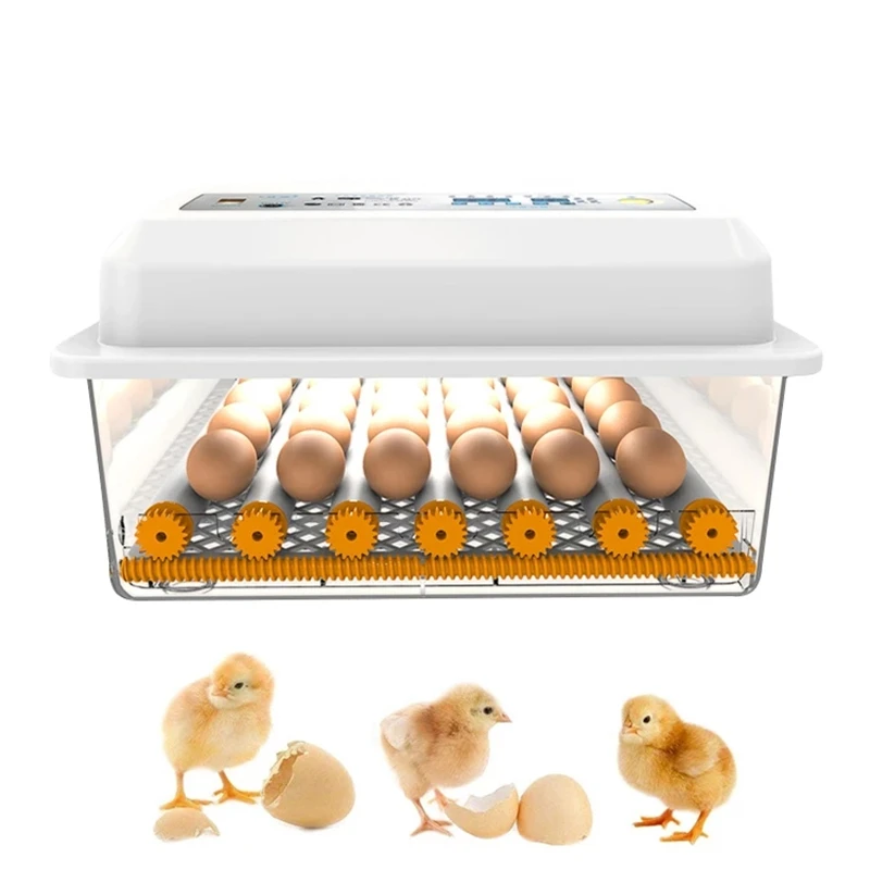 

220V/110V 30 automatic Egg incubator fully automatic Brooder eggs incubator Chick Hatchery Poultry Farm Hatching Tool