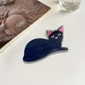 1 black cat