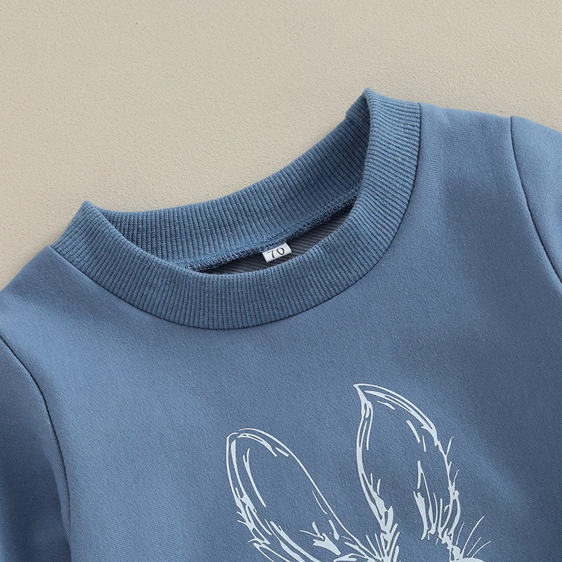 FOCUSNORM 0-3Y Autumn Toddler Boys Easter Clothes Sets 2pcs Long Sleeve Cartoon Rabbit Print Sweatshirt Carrot Pants