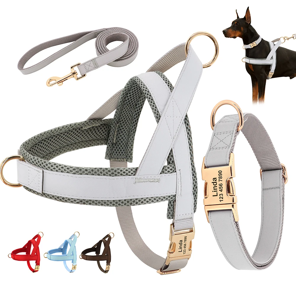 Custom Name Luxury Durable Small Medium Dog Collar And Leash Set No Pull Designer  Pet Accessories Dog Leads - Collars, Harnesses & Leads - AliExpress