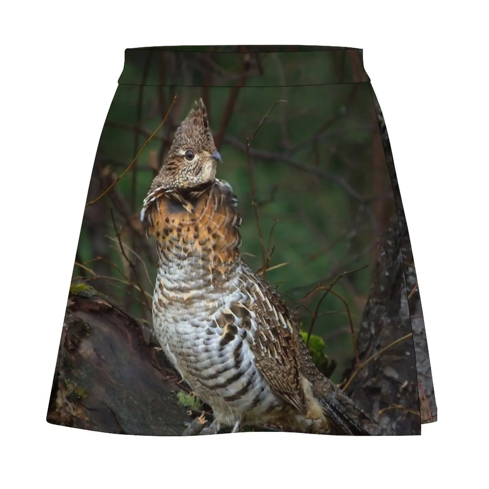 Ruffed Grouse - Algonquin Park, Canada Mini Skirt korean luxury clothing short skirt Women's skirts School skirt
