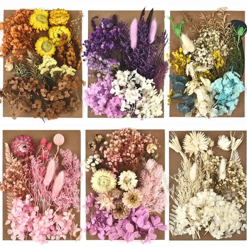 1 Pack Dried Flowers Preserved Flower For Diy Resin Crafts Making Fit Aromatherapy Candle Epoxy