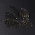 Black Gold Color