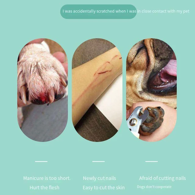 1 battery pet electric nail polish remover with 1st gear speed suitable for 2 AAA batteries, suitable for cats and dogs 3