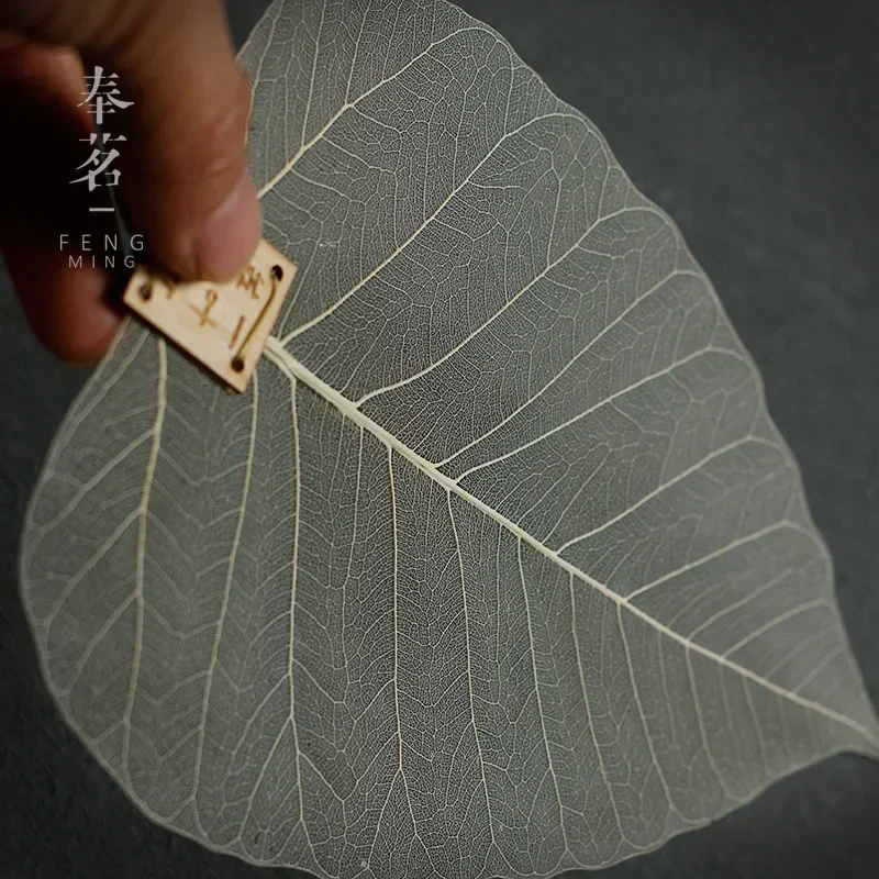 Tea Strainer Bodhi Leaf Tea Filter