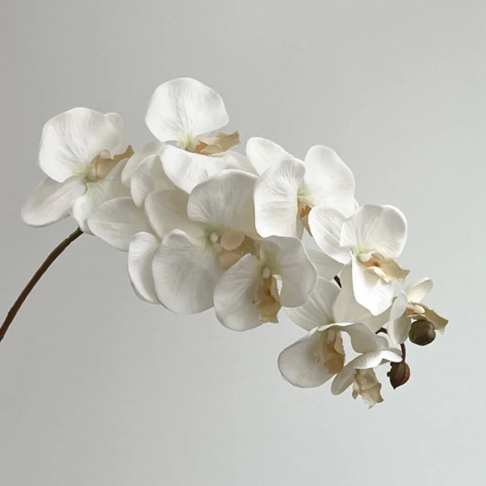 10 Köpfe Künstliche Schmetterlingsorchidee, echt anfühlend, mehrfarbig, gefälschte Phalaenopsis, 98 cm, mit Eisendraht-Innenfutter, Simulationsblume