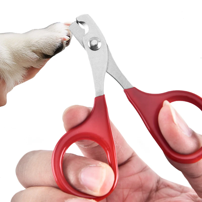 Professional Stainless Steel Cat Nail Scissors Pet Dog Nail Clippers