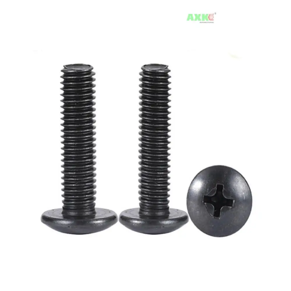 Vis,M2 x10pcs-3mm--Vis M2 M2.5 M3 M4 M5 M6 Tm, Vis Phillips À Tête De  Champignon, Vis En Acier Au Carbone Plaqué Noir - Vis - AliExp - Cdiscount  Bricolage