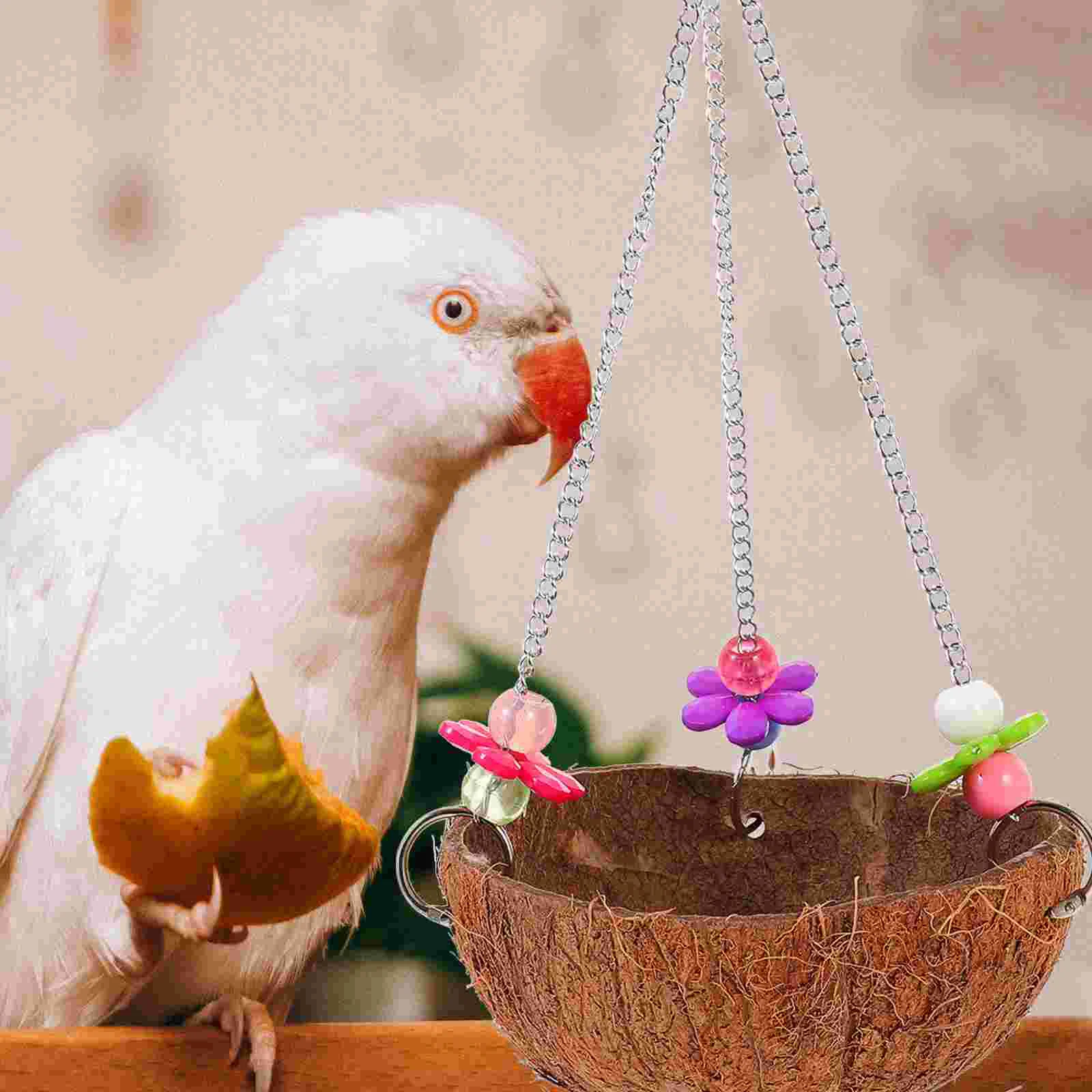      ,   ħ, ޹  뺧Ƽ    
