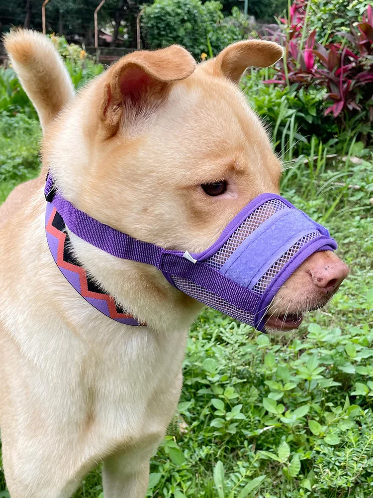 Adjustable No-Bite Dog Muzzle 1