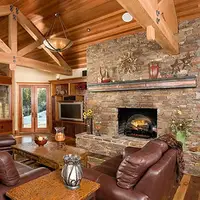25" Revillusion Plug-In Log Set Authentic Design with Remote Control Full Grate Life-Size Hardwood-Cast Logs Instant Ambiance 2