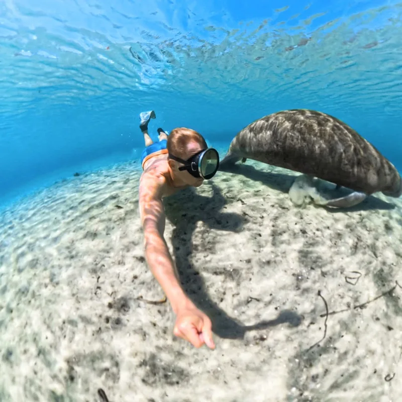 Insta360 X5 étui de plongée invisible 60m étanche accessoire original