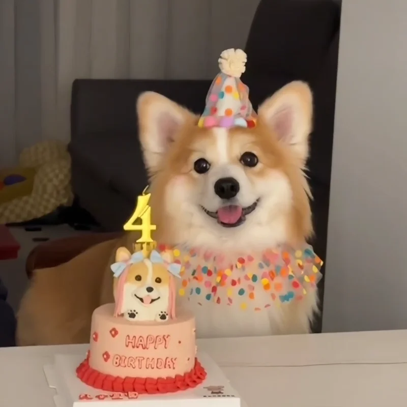 애완 동물 개 고양이 생일 축하 액세서리 키트 생일 사진에 딱 맞는 생생한 파티 모자 의상 파티 할로윈