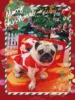 Pet Christmas clothes Santa transformation costumes, festive funny and cute outfits for parties, dog and cat party clothes 2