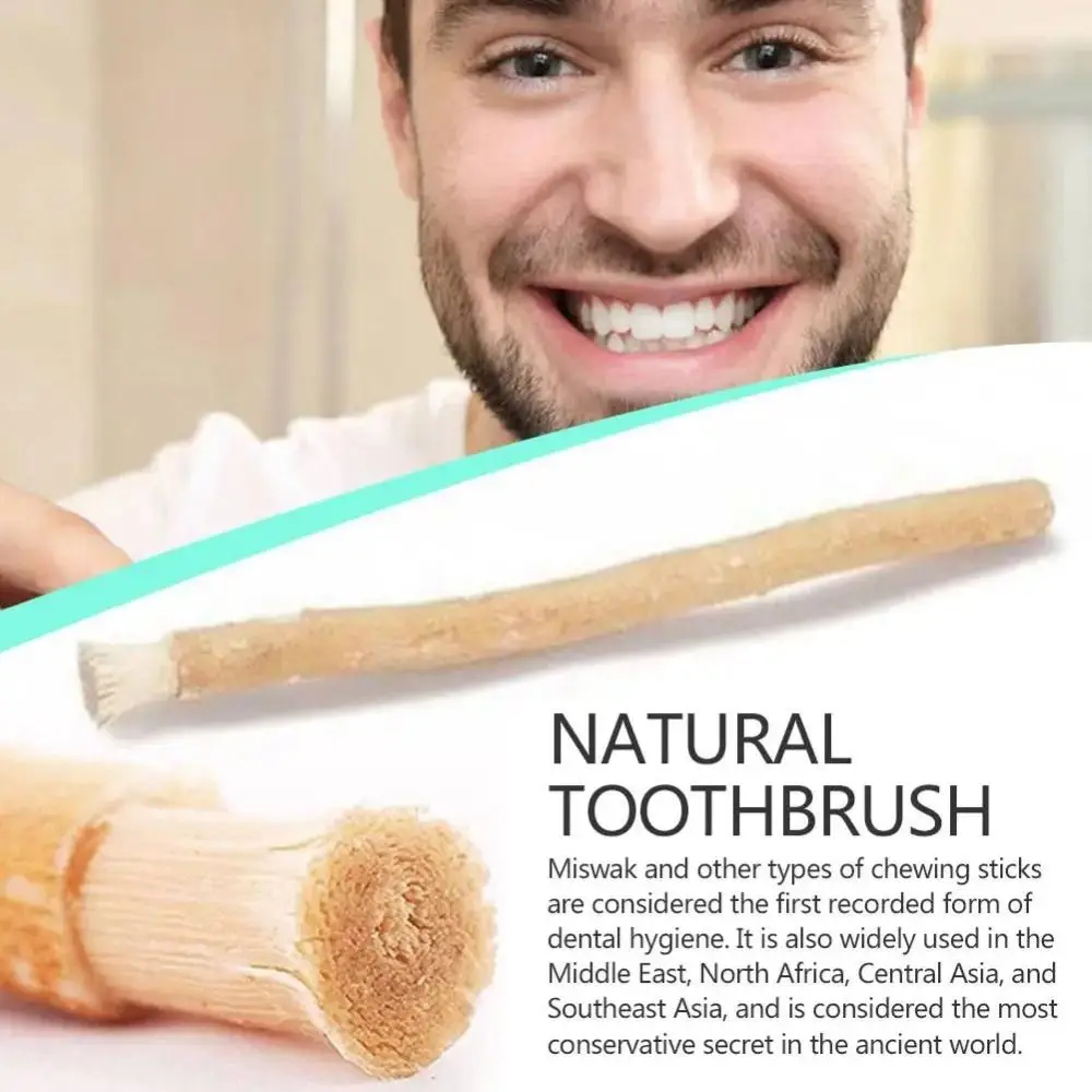Eco Friendly No Toothpaste Needed Miswak Toothbrush Soft Bristles Traditional Miswak Sticks for Teeth Chewing Sticks Travel