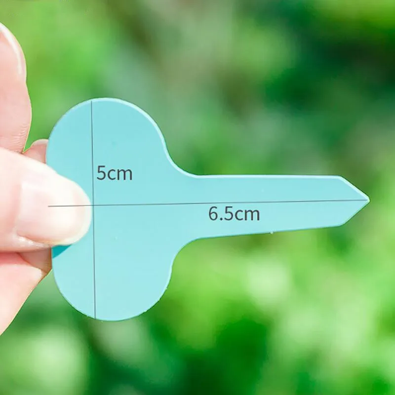 Plant Cages Supports