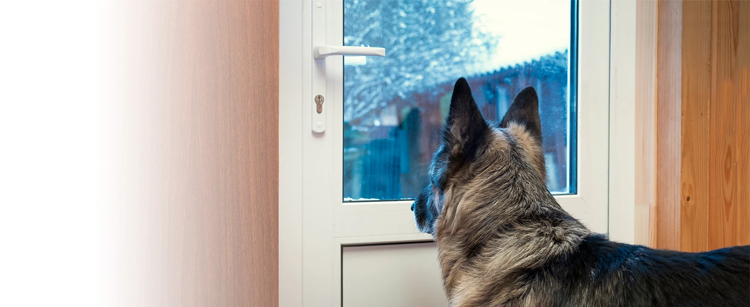 Home Security Door Lock