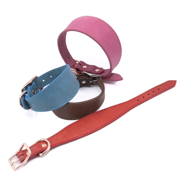 Wide Padded Dogs Collar Genuine Leathers Puppy Collars for Lurchers Italian Greyhounds Comfortable Pet Dogs Accessories B03E 4