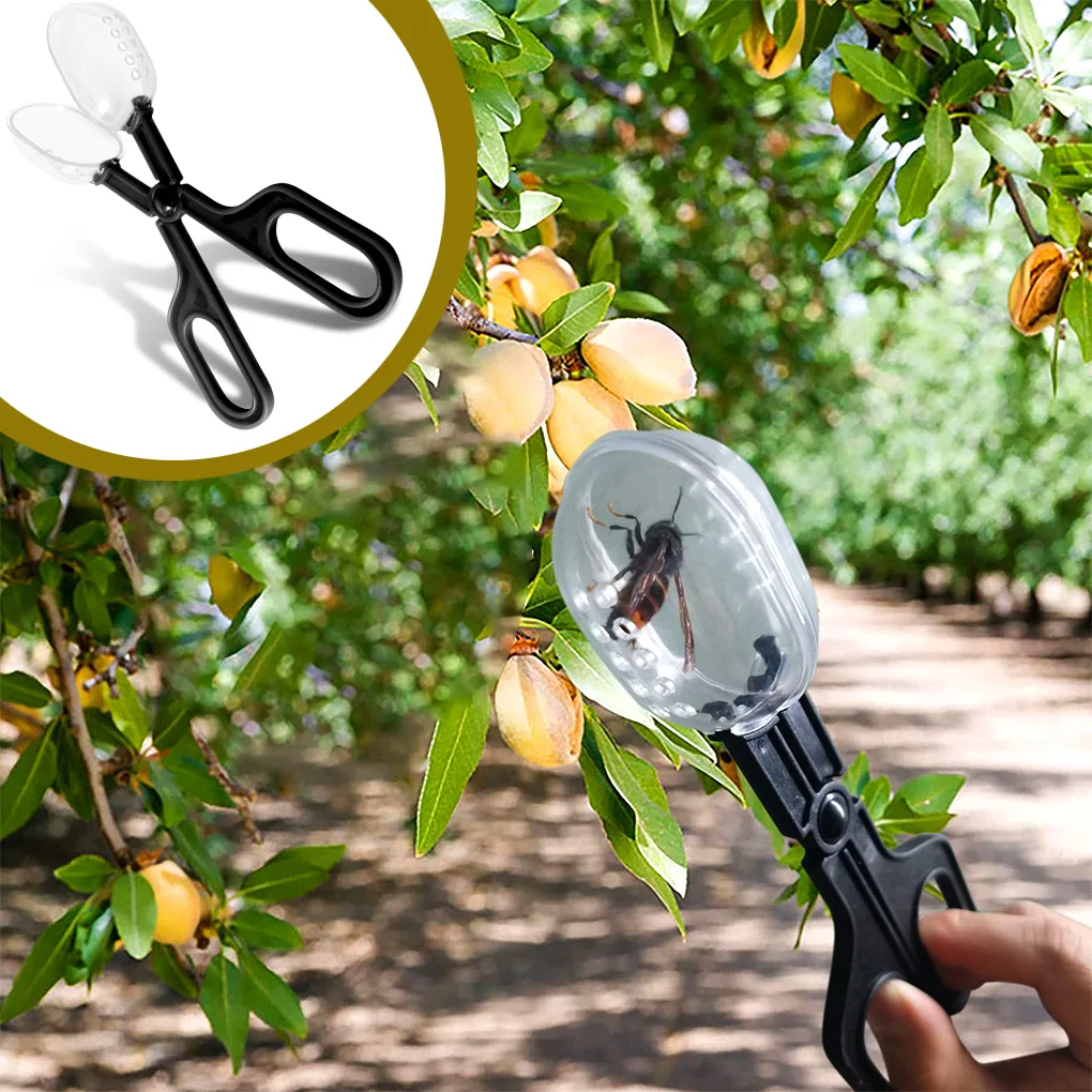 Insect Catcher Scissor Bug Scooper Clamp Beekeeping Equipment Feeding Tool Tweezer Nature Exploration Toy Black 2