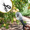 Insect Catcher Scissor Bug Scooper Clamp Beekeeping Equipment Feeding Tool Tweezer Nature Exploration Toy Black 2