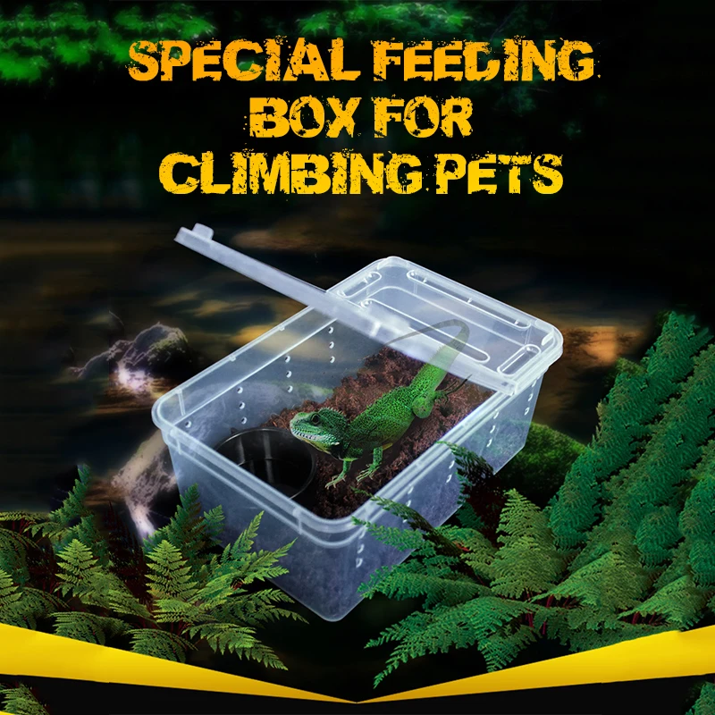 Title 1, 19cmx12.5cmx7.5cm Terrarium For Reptiles Spider...