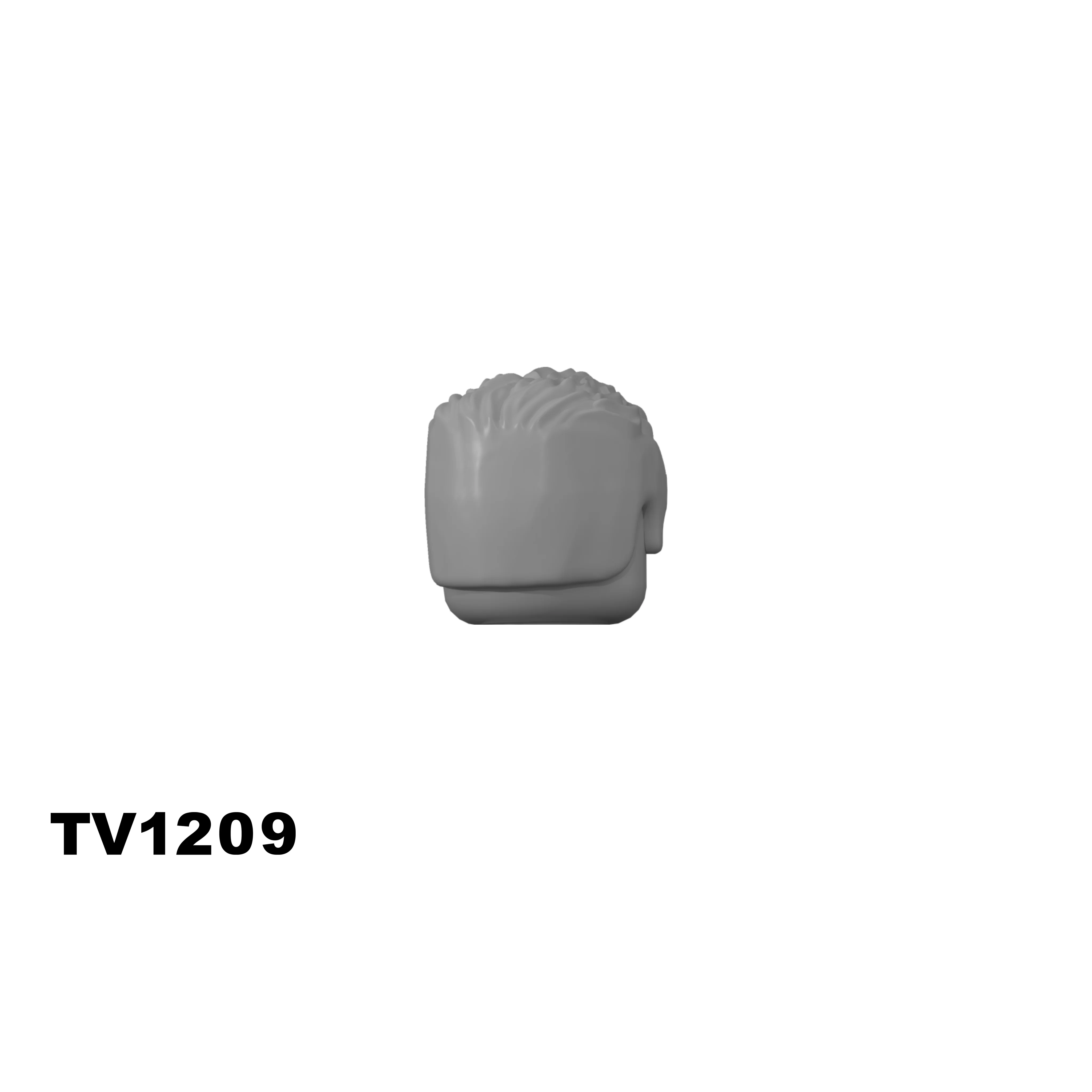 TV1209