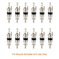 Schrader Core 12PC