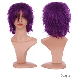 Vibrant Multicolor Synthetic Cosplay Wig - Short Layered Party Hair Extension - 12inch (Purple)