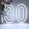 LED Neon 1 2 3 4 5 6 7 8 9 0 Number Sign for Birthday Wedding Party Decor 15in 38 cm High Numbers Led Light Sign Power by USB 2