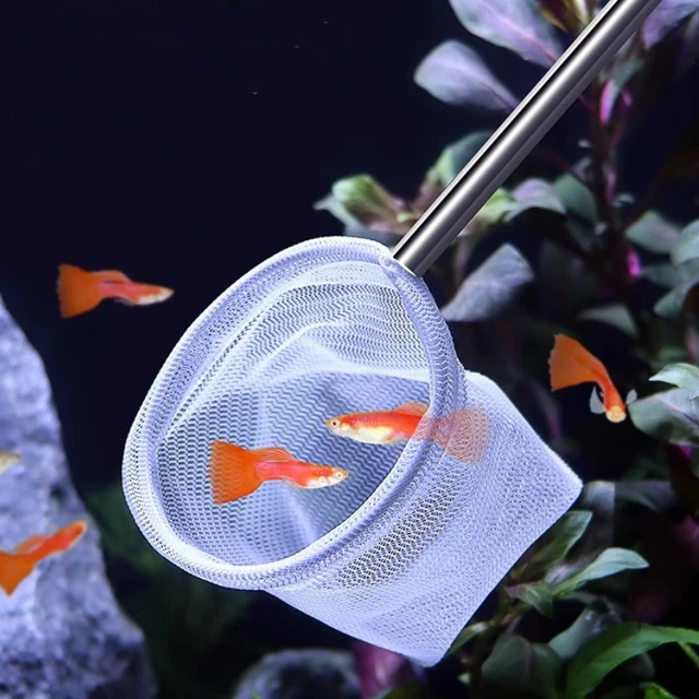 Aquarium Cleaning Tools Aquarium Fish Nets Small Fish and Shrimp Nets Fish Tank Fishing Nets 3