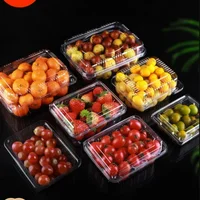 100pcs Fruit Box with Lid Disposable Plastic Transparent 1kg Packaging Boxes Strawberry Grape Fruit Vegetable 500g Wrapping Box 2