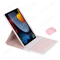 Pink with mouse