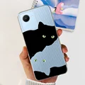 Case-c25