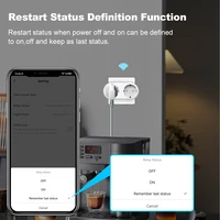 Tuya WiFi Dual Outlet 16A APP Smart Plug 2 in 1 Socket EU with Energy Metering Timer Function Works with Alexa Google Controlled - Image 4