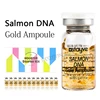 8ml Salmon DNA Gold Ampoule Skin Booster Serum Stayve BB Cream Glow Beginner Starter Kit Korea Face Skin Care Essence Foundation 6